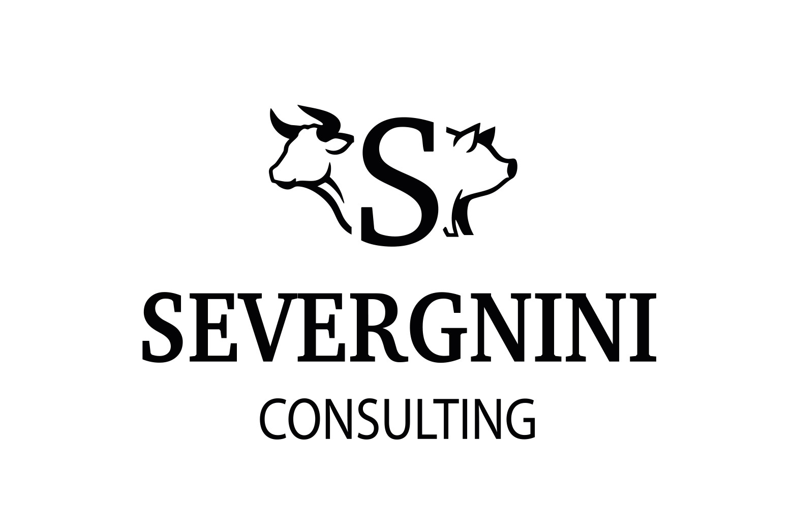 Severgnini Consulting